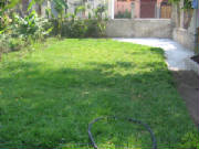areasverdes.jpg